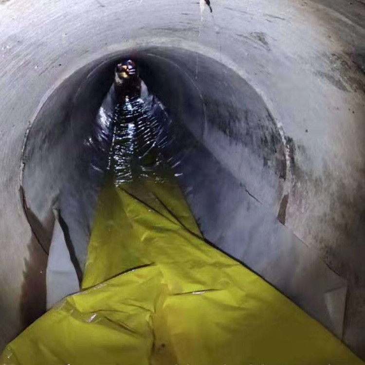 嘉禾管道光固化修复